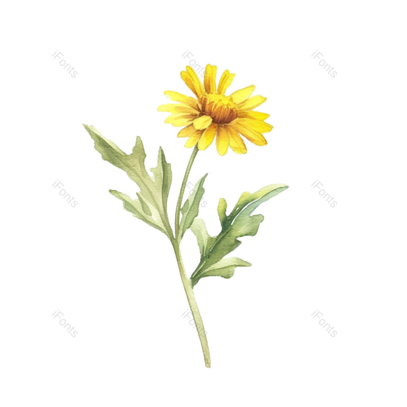 装饰图片,向日葵手绘元素,花卉PNG,花草免抠素材